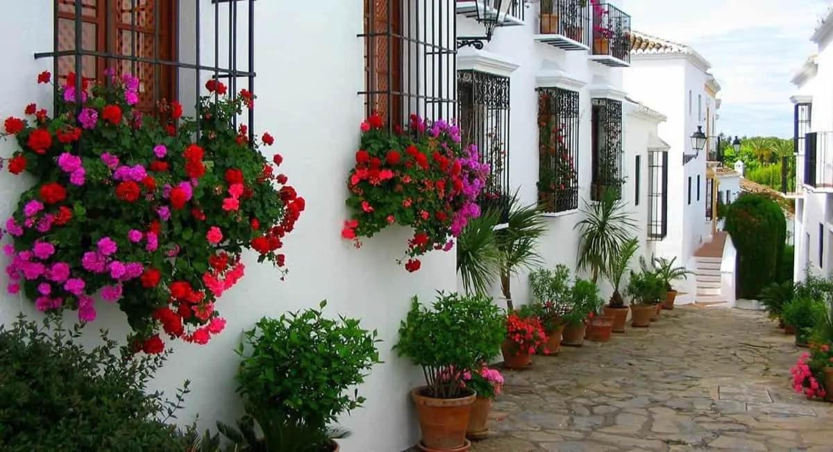 Villa Tiphareth Marbella Exteriör bild